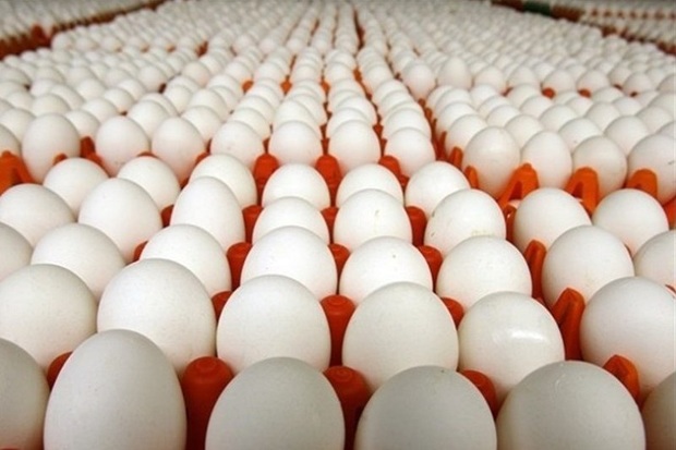 9 هزار تن تخم مرغ در اردبیل تولید می شود