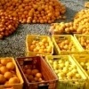 اهوازی ها بیشترین مصرف کننده سیب و پرتقال نوروزی در خوزستان