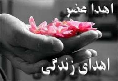 اهدای عضو به 4 نفر در تبریز زندگی دوباره بخشید