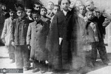 شهید آیت الله العظمی سید علی خامنه ای (ره) به روایت تصویر -1