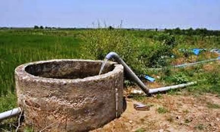 مدیرعامل آبفا: کمبود آب در گلستان ناشی از توسعه شالی زارها است