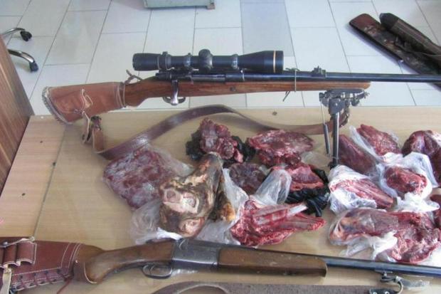 شکارچیان غیرمجاز در فیروزکوه دستگیر شدند
