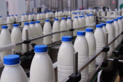 وعده مسئولان: از شنبه 17 مهر شیر و لبنیات ارزان می شود