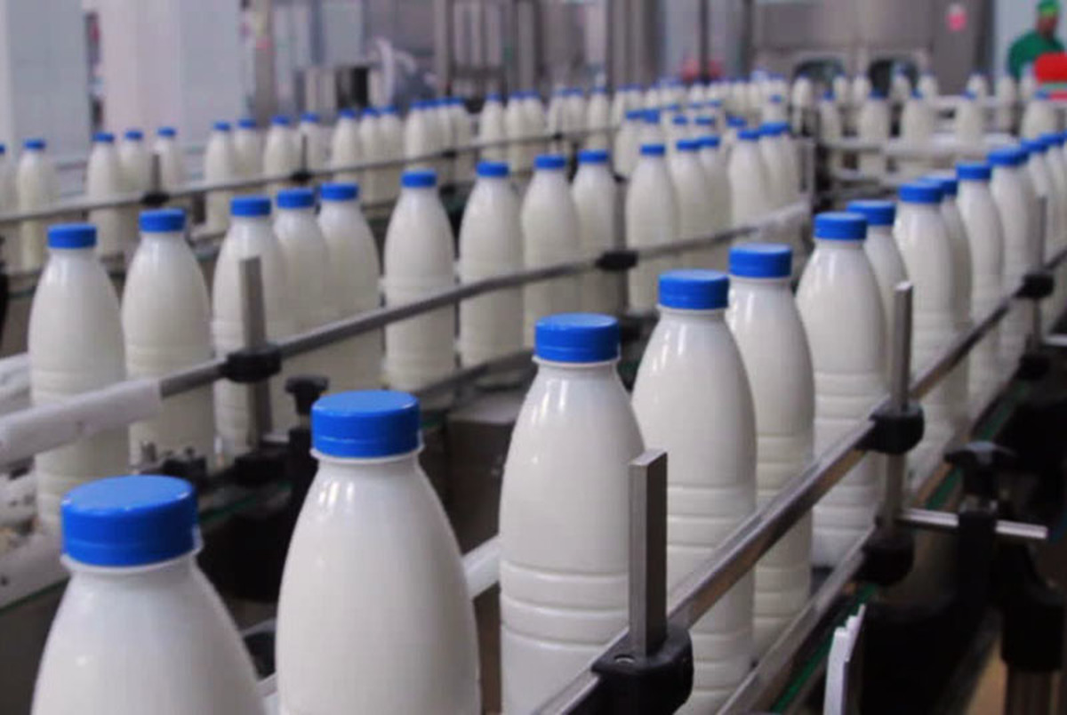 شیر گران می شود/ درخواست افزایش قیمت ارائه شد