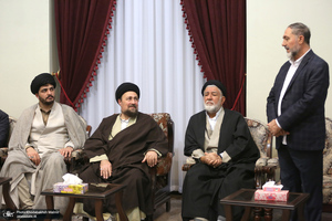 دیدار جمعی از شیعیان کشور ترکیه با سید حسن خمینی