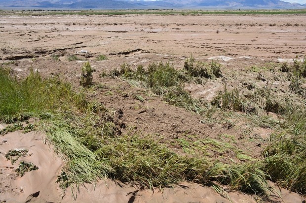 350 میلیارد تومان خسارت سیل در خراسان جنوبی است
