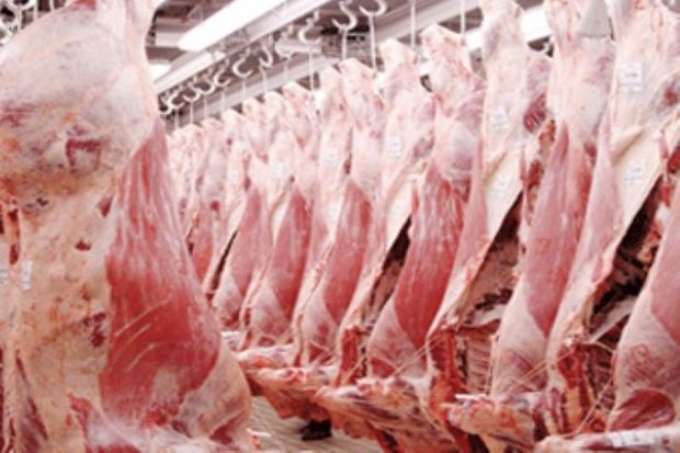 امسال 348 تن گوشت قرمز در ماکو توزیع شده است