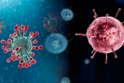 وزیر بهداشت: همه‌گیری آنفلوآنزا آغاز شد