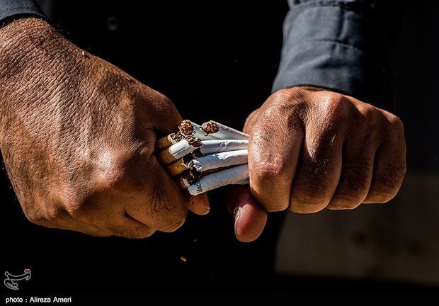 بیش از ۲۳۱ هزار نخ سیگار قاچاق در عجب‌شیر کشف و ضبط شد