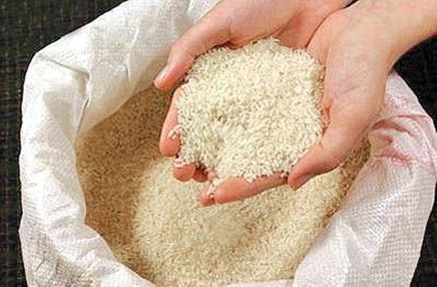خرید توافقی برنج شالیکاران گیلان دوباره آغاز شد