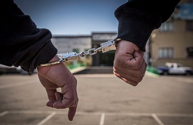 دستگیری ۲۷ متهم در اسدآباد  ۴ فقره سرقت در نهاوند کشف شد