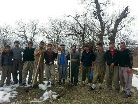 کاشت بلوط؛ تلاشی زیست محیطی از سوی جوانان روستای دره ناخی سروآباد