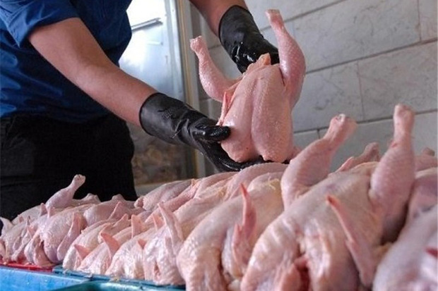 14هزار و 400 تن گوشت مرغ در استان مرکزی تولید شد