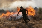 گزارش تصویری/ جنگ با شعله های آتش در یونان