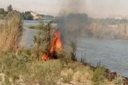 آتش سوزی منطقه حفاظت شده کارون در گتوند مهار شد
