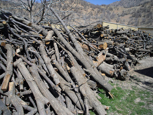 بیش از یک تُن چوب قاچاق در سمیرم کشف شد