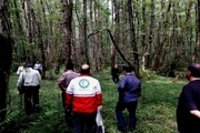 بانوی ۷۵ ساله گمشده در جنگل‌های رامسر نجات یافت