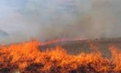 بیش از 4 هزار متر مربع از اراضی جنگل بیدان دهبکری در آتش سوخت