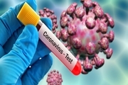 آمار کشته شدگان ویروس «کرونا» در چین از هزار و ۱۰۰ نفر عبور کرد