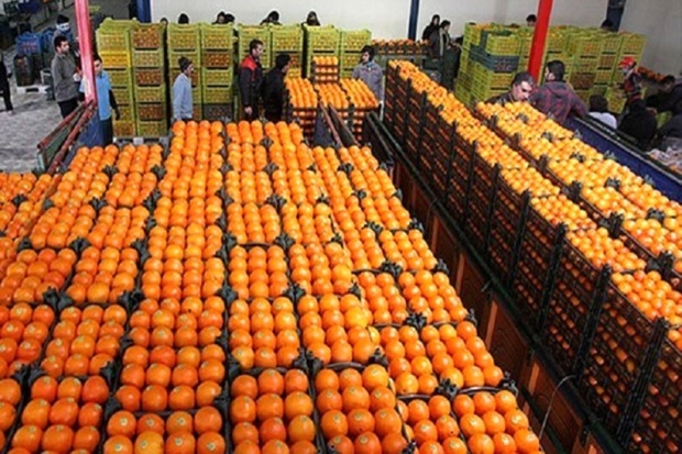 20 عامل فروش میوه تنظیم بازار در دامغان فعال شد