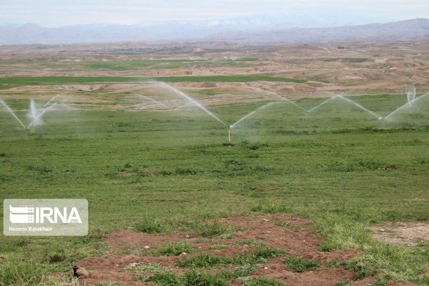 ۵۷۰ میلیارد ریال به طرح های حوزه آب گچساران اختصاص یافت