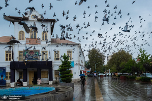 منتخب تصاویر امروز جهان- 19 مهر