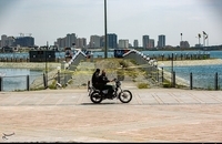 139901131844371320039604