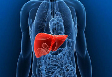 
تاثیر باورنکردنی این ویتامین در درمان کبد چرب