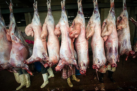 هر کیلو گوشت گوسفند در یزد 98 هزار تومان مردم تخلفات را گزارش کنند