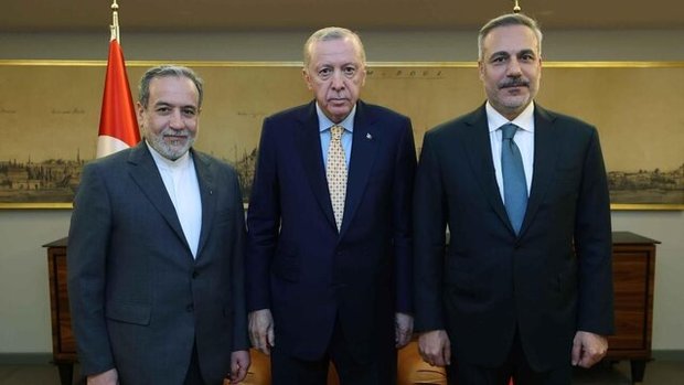 عراقچی با اردوغان دیدار کرد + عکس