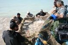 جمع آوری هزار متر تور غیر مجاز صید ماهی در شهرستان بیله سوار
