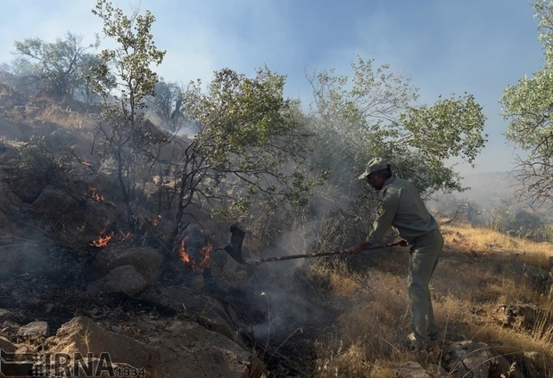 فصل گرما و خطر آتش سوزی در منابع طبیعی فارس