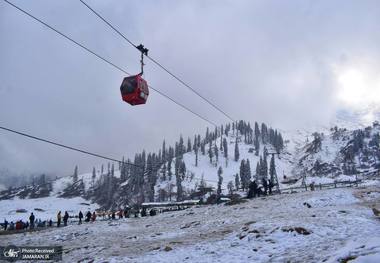 تصاویری زیبا از بارش برف تازه در کشمیر هند