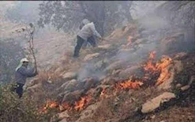 6 هکتار از مراتع بردسیر در آتش سوخت