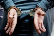 سارق حرفه ای با ۵۰ فقره سرقت در فردیس دستگیر شد