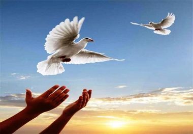 دانش‌آموزان یزدی برای آزادی زندانیان ۱۰ میلیارد ریال جمع‌آوری کردند