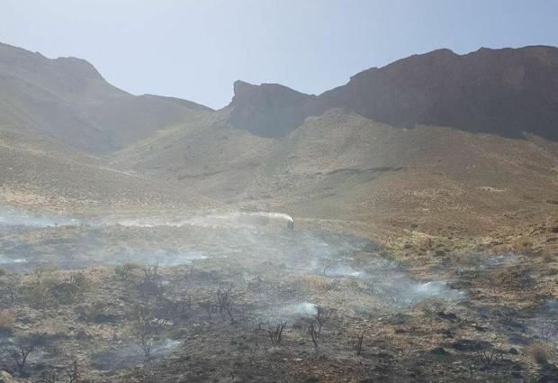 آتش سوزی منطقه حفاظت شده تنگ صیاد مهار شد