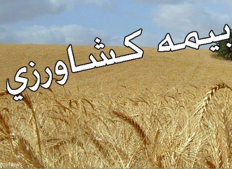 سردشت در رتبه نخست بیمه شدگان اجتماعی کشاورزان آذربایجان غربی