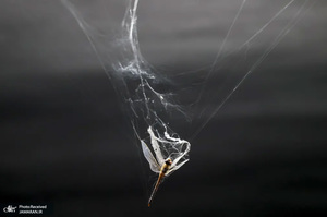 منتخب تصاویر امروز جهان - 4 مهر 1401