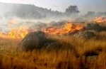 آتش‌سوزی در مراتع شهرستان دماوند مهار شد  نابودی 5 هزار متر از مراتع منطقه