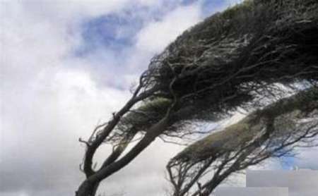 وزش باد شدید استان زنجان را در بر می گیرد