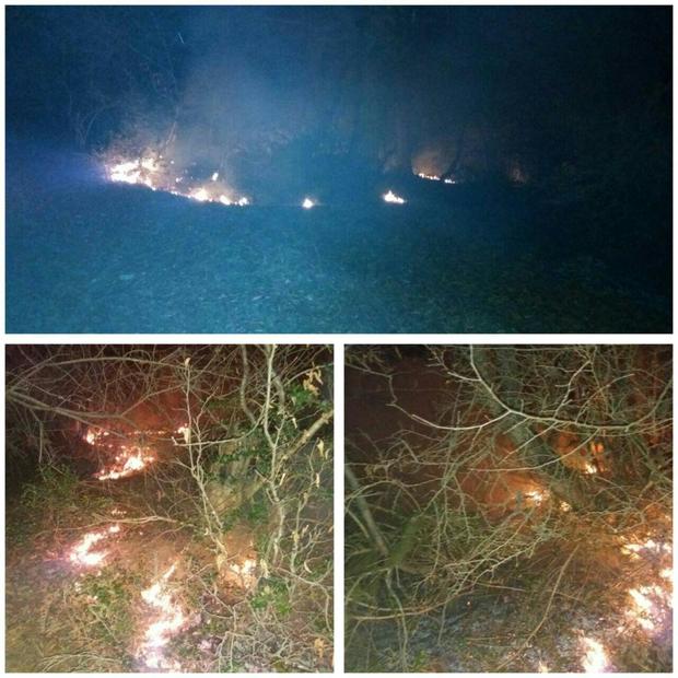 آتش سوزی در جنگل بهمنان سوادکوه