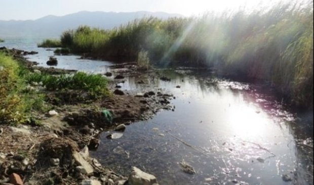 ورود فاضلاب، حیات دریاچه زریبار را تهدید می کند