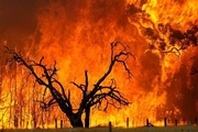 وضعیت آتش‌سوزی در جنگل‌های خوزستان بحرانی است