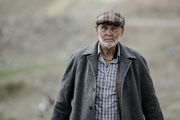چه کسانی جایزه بهترین بازیگر مکمل مرد جشنواره فیلم فجر را کسب کردند؟
