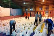 توزیع 1500 بسته غذایی بین نیازمندان ماکو و پلدشت