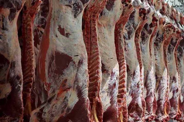 543 تن گوشت ستاد تنظیم بازار در استان قزوین توزیع شد