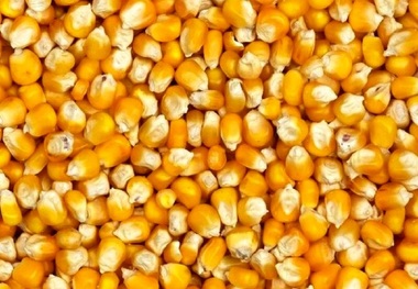 این خوراکی منبع ویتامین و انرژی است