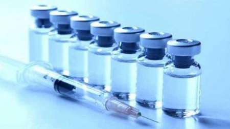 صادرات واکسن دامپزشکی توسط موسسه رازی شعبه شیراز