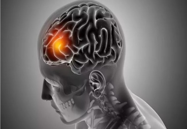 آیا «هوش» ارثی است؟
